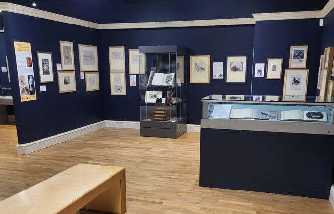 The Charles Tunnicliffe gallery